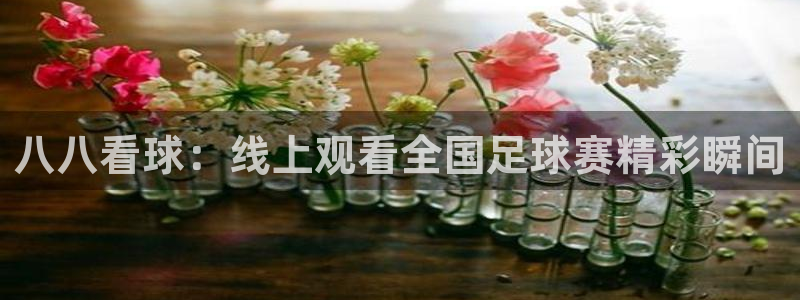 松鼠体育在线直播下载：八八看球：线上观看全国足球赛精彩瞬间