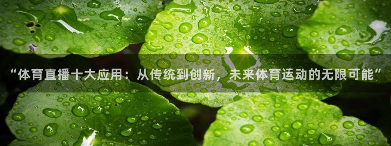 松鼠宝贝体育：“体育直播十大应用：从传统到创新，未来体育运动的无限可能”