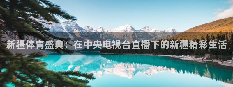 松鼠休闲游戏官网：新疆体育盛典：在中央电视台直播下的新疆精彩生活