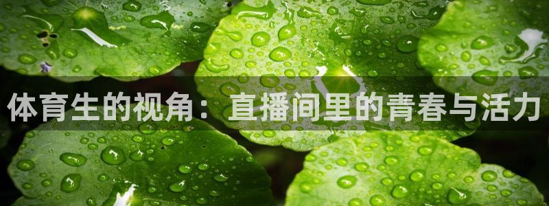 松鼠宝贝体育：体育生的视角：直播间里的青春与活力