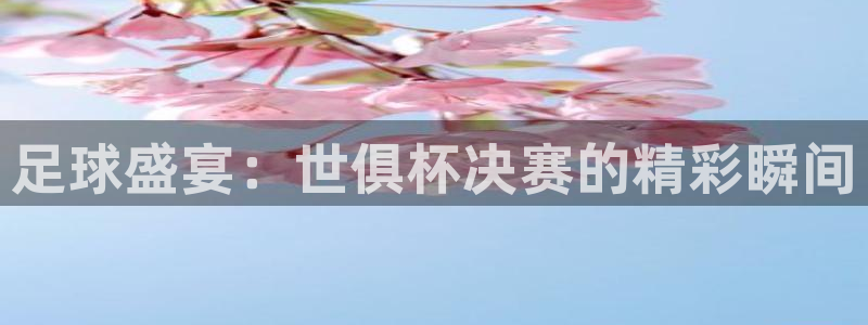 松鼠直播nba：足球盛宴：世俱杯决赛的精彩瞬间