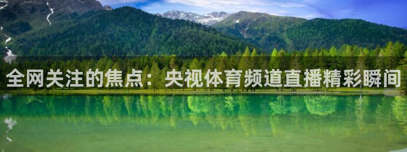 下载松鼠电视直播：全网关注的焦点：央视体育频道直播精彩瞬间