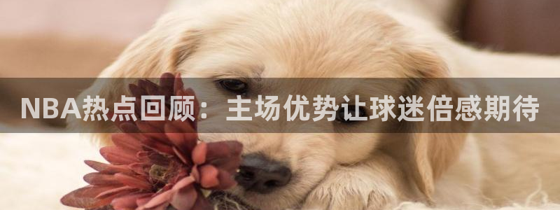 松鼠直播tv：NBA热点回顾：主场优势让球迷倍感期待