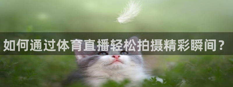 松鼠体育下载：如何通过体育直播轻松拍摄精彩瞬间？