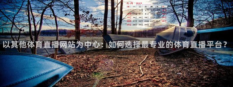 松鼠直播tv：以其他体育直播网站为中心：如何选择最专业的体育直播平台？